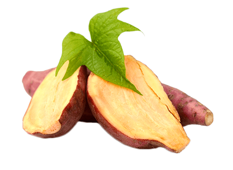 Reduslim'de Yacon kökü